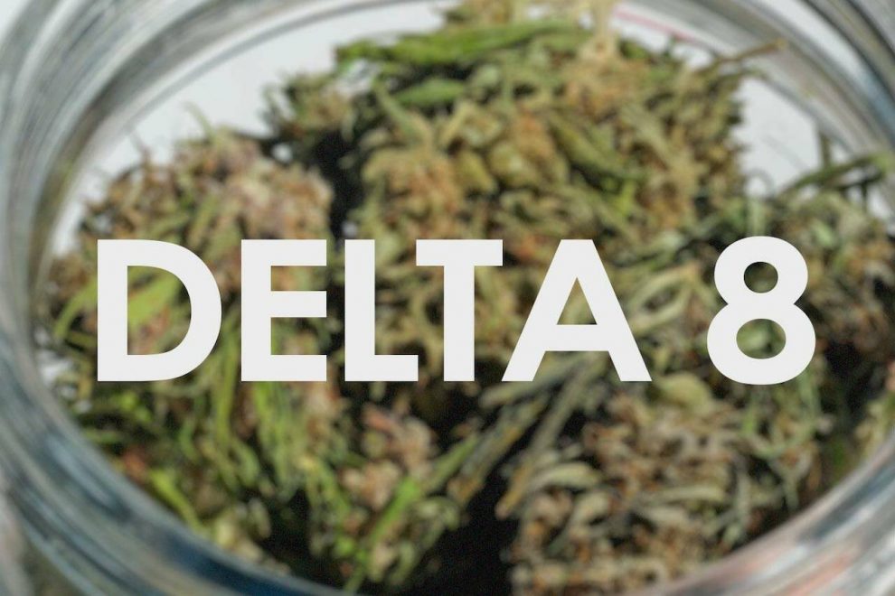 Beginner's Guide: Getting Started with Delta 8 Flower