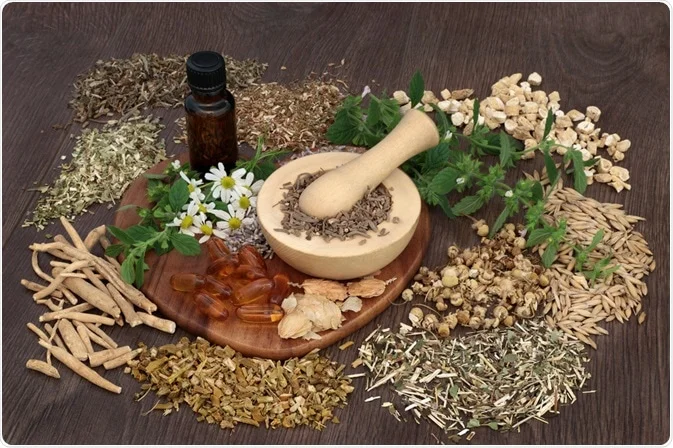 Combining Herbal Remedies with Modern Medicine: A Holistic Approach